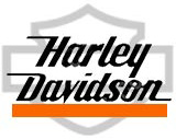 エアクリーナーインサート スカルコレクション ブラック - Harley