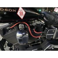 スクリーミンイーグル・パフォーマンス・スパークプラグ/ダイナ